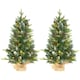 image 1 of HOMCOM 2 Pieces 3' Prelit Artificial Tabletop Christmas Trees, LED Display