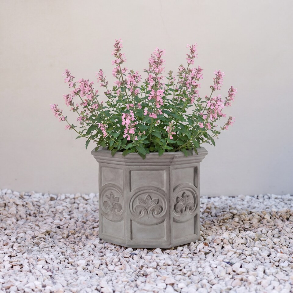 image 1 of Primrose Galgano Hexagon Shaped Concrete Planter in Grey 70cm | Grey | Grey