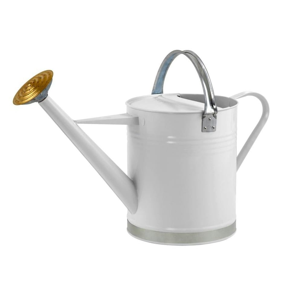 Ambassador Galvanised Watering Can - Cream - 9l