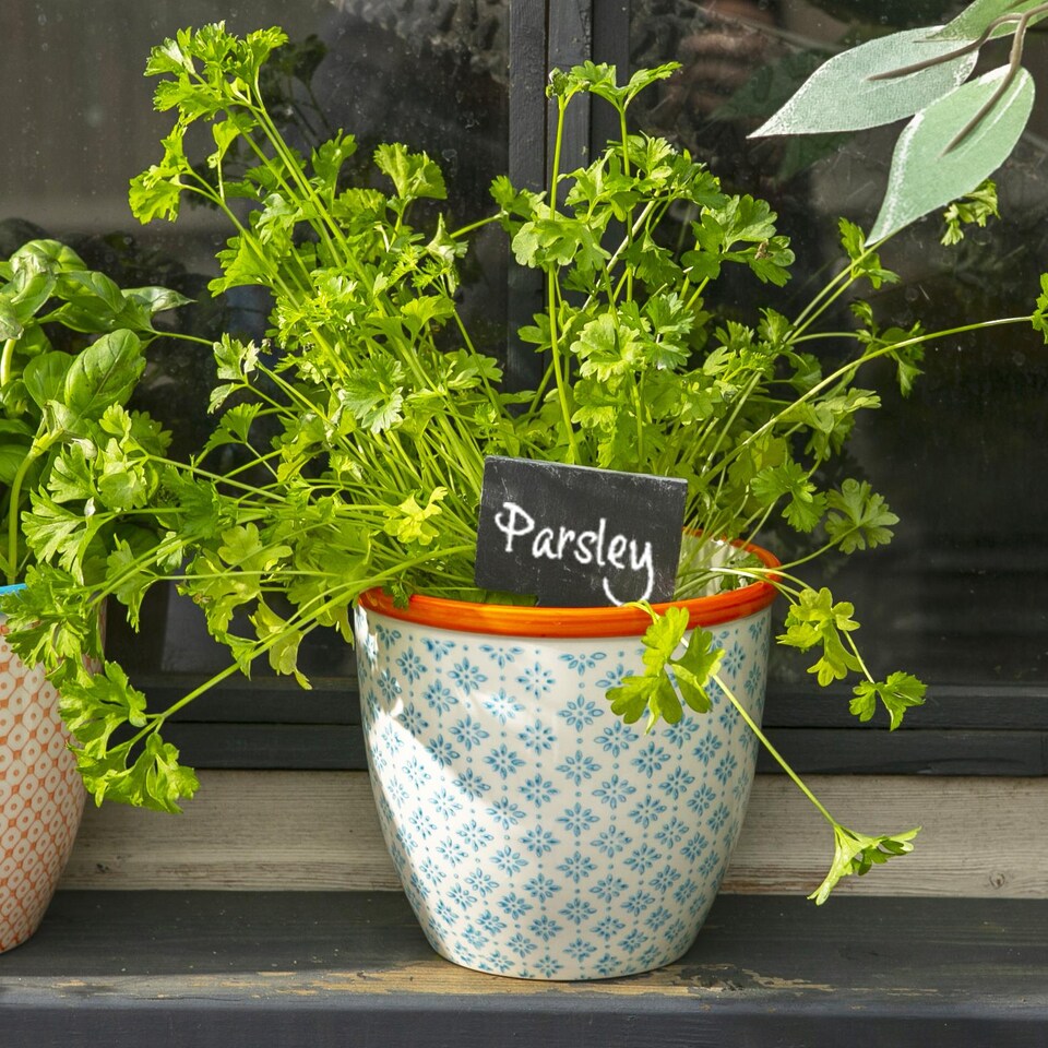 image 1 of Nicola Spring Hand-Printed Plant Pot - 14cm - Blue | Blue | Blue