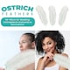 image 4 of 50cm - 60cm Large Ostrich Feathers, Showgirl Spadones - 5pcs