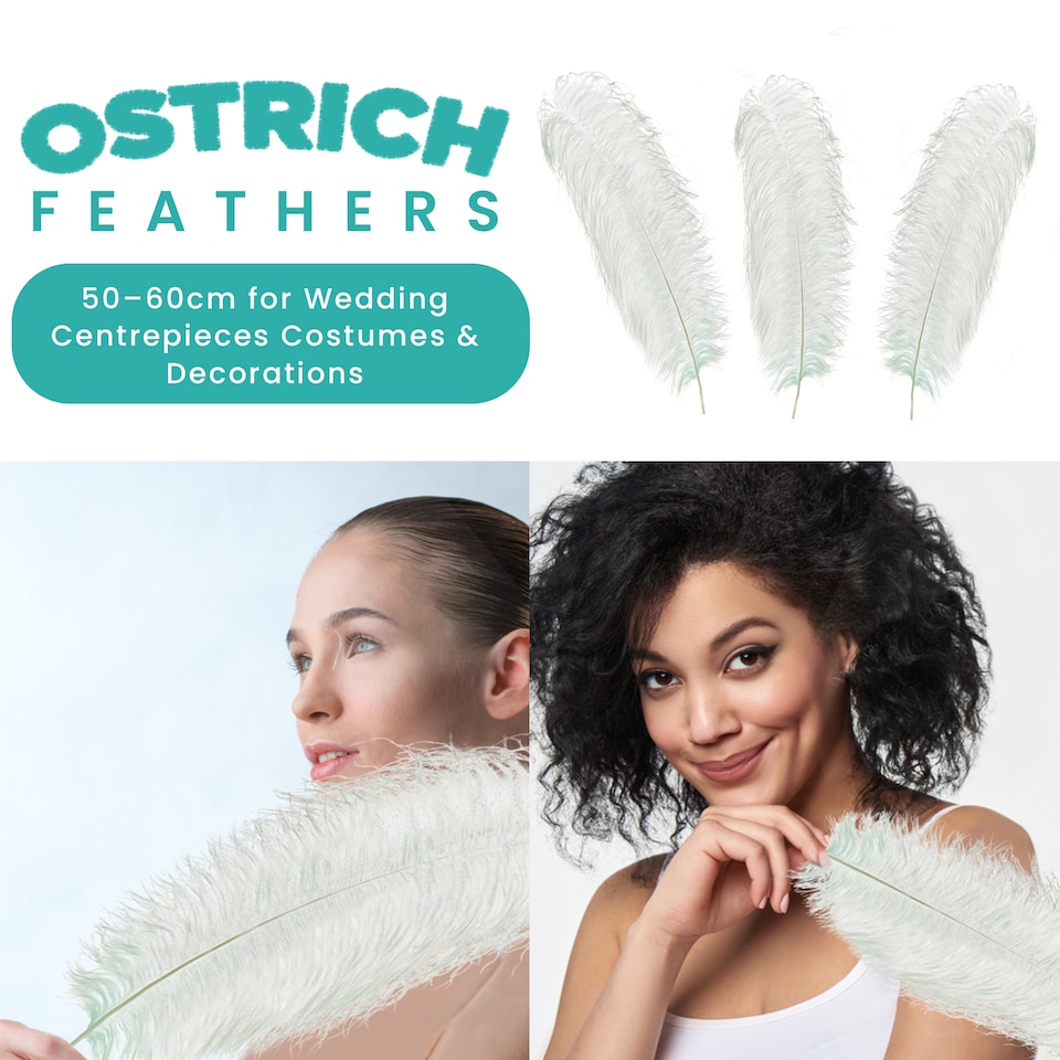image 1 of 50cm - 60cm Large Ostrich Feathers, Showgirl Spadones - 5pcs