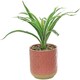 image 1 of Primrose Artificial Spider Plant in Round Red Pot 28cm