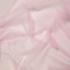 Briar Rose