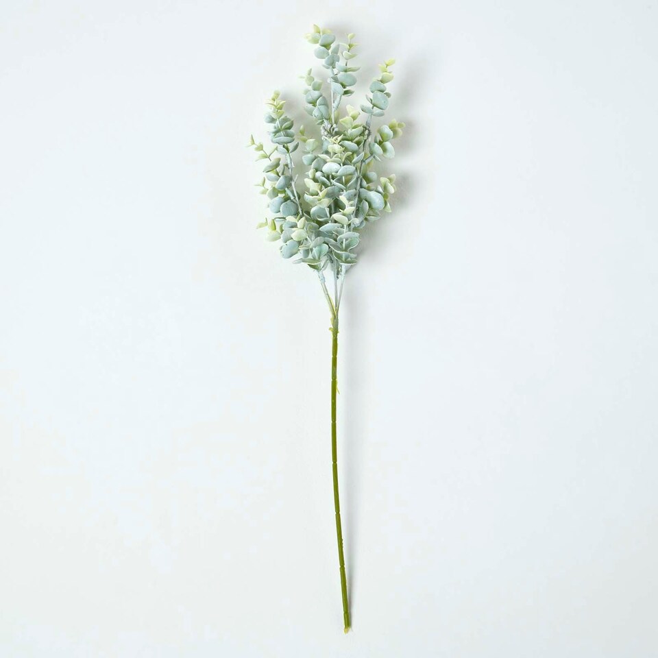 image 1 of Homescapes Eucalyptus Spray Single Stem 68 cm