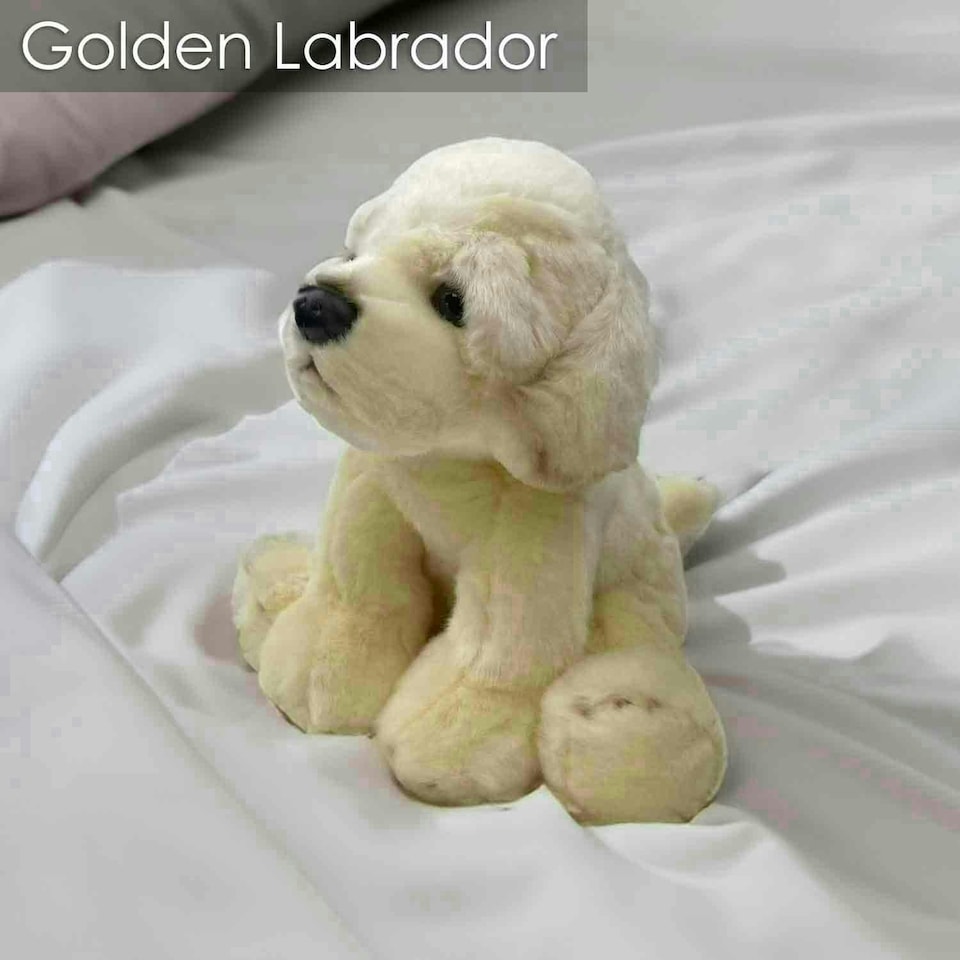 image 1 of Golden Labrador 30cm Plush Lifelike Toy - Natural World Collection