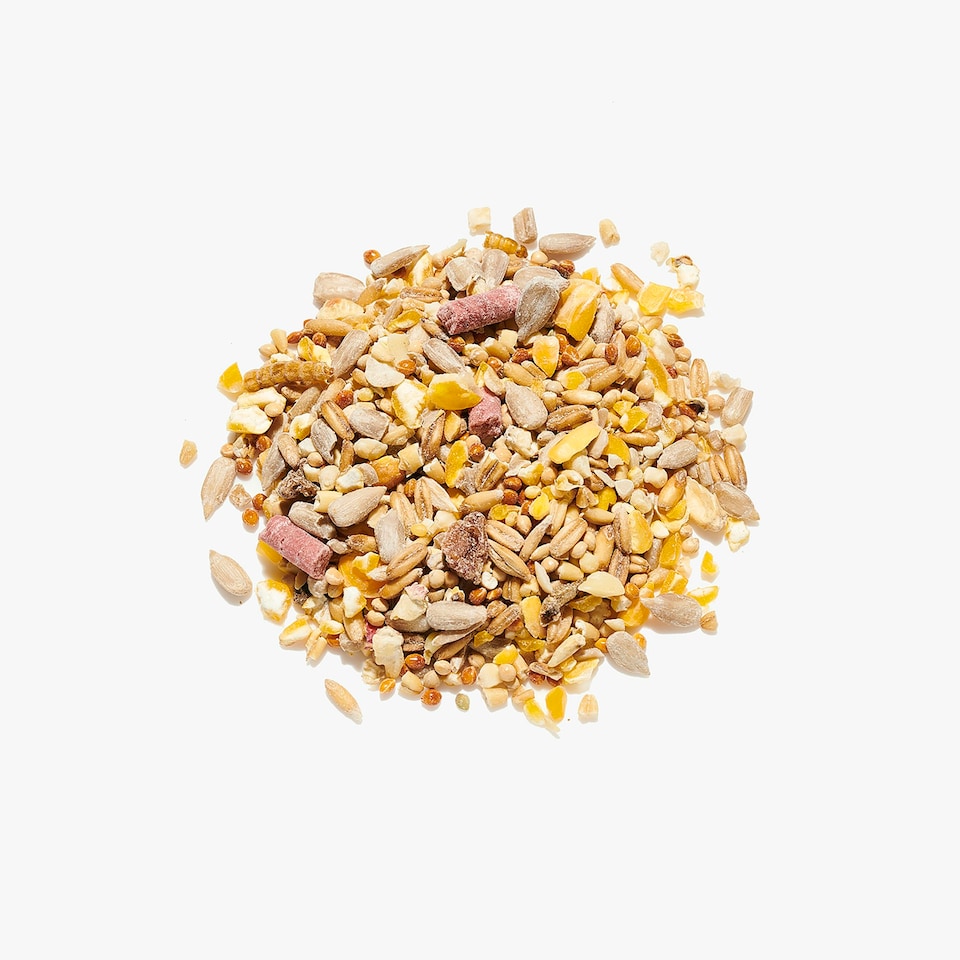 image 1 of Countrywide Robin & Songbird Mix Bird Food 15kg