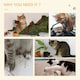 image 6 of PawHut Cat Scratching Post with Sisal Rope Soft Plush Anti-Tip, 85cm, Beige