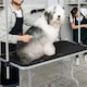 image 2 of Yaheetech 113.5 cm Wide Pet Grooming Table with Adjustable Height Black