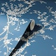 image 3 of Arthouse Oriental Trail Wallpaper - Blue - 10m x 53cm Blue