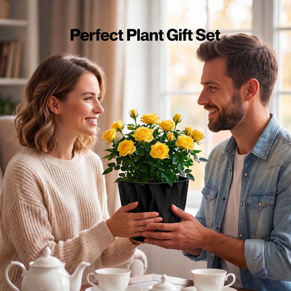 image 1 of TOQUE Plant Pots,5Pc 20cm Plant Pots Indoor,Drainage,PP Plastic,Black