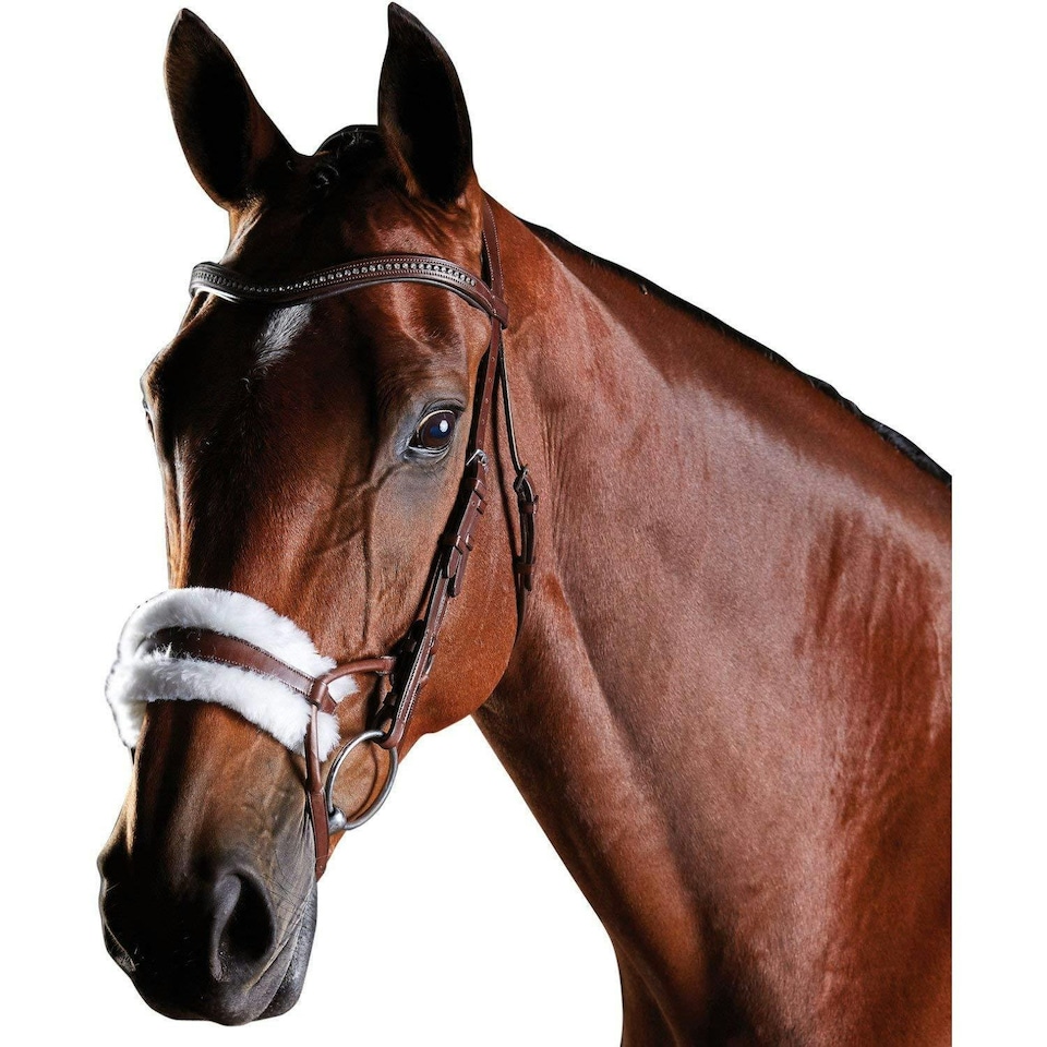 Collegiate Comfitec Leather Training Bridle - Brown - Cob