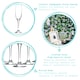 image 2 of Argon Tableware Classic Champagne Flutes - 220ml - Pack of 6