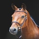 image 2 of Shires Salisbury Bodenham Bridle Black | Size: Full
Colour: Black
