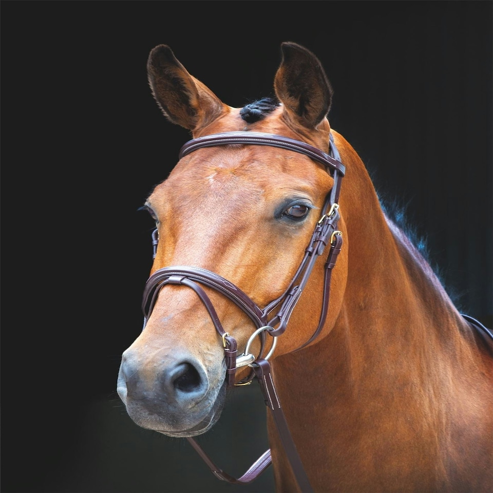 image 1 of Shires Salisbury Bodenham Bridle Black | Size: Full
Colour: Black