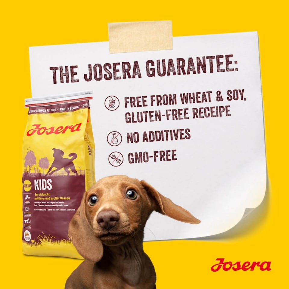 image 1 of Josera Junior Kids complete puppy food | Gluten-free | Medium & large breeds | Lots of meat | Optimal development | Omega 3 from Salmon Oil | 0.9kg