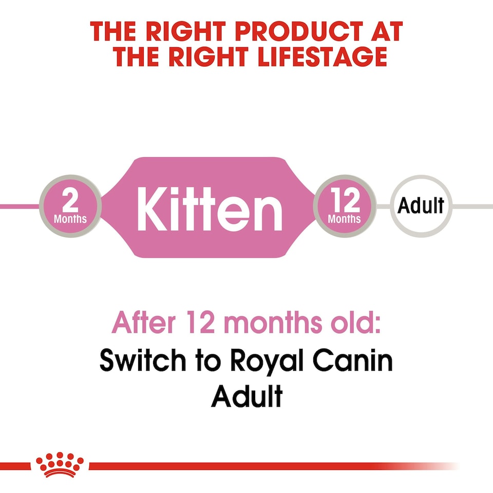 image 1 of ROYAL CANIN® Kitten Wet Food N/A | Size: 12 x 85g
Texture: Gravy