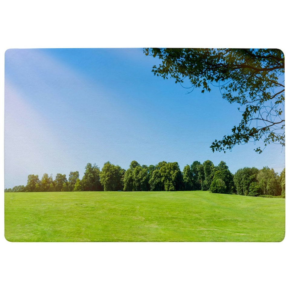 image 1 of Beauty landscape of grass field with forest trees and environment public park with sun rays (Rug) Blue | L