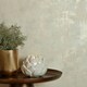 image 1 of Concrete Couture Wallpaper in Cream and Gold Multi