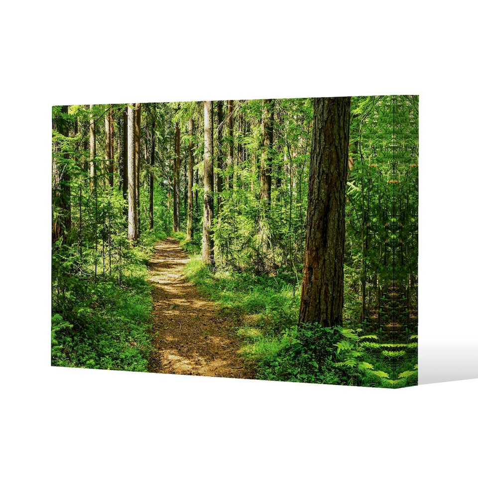 image 1 of Woodland path (Canvas Print)