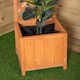 image 4 of 1.6m Samuel Alexander Natural Wooden Freestanding Garden Trellis with Raised Bed Planter