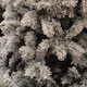 image 2 of 4ft Snowy Imperial Pine White Green Fir Artificial Christmas Tree