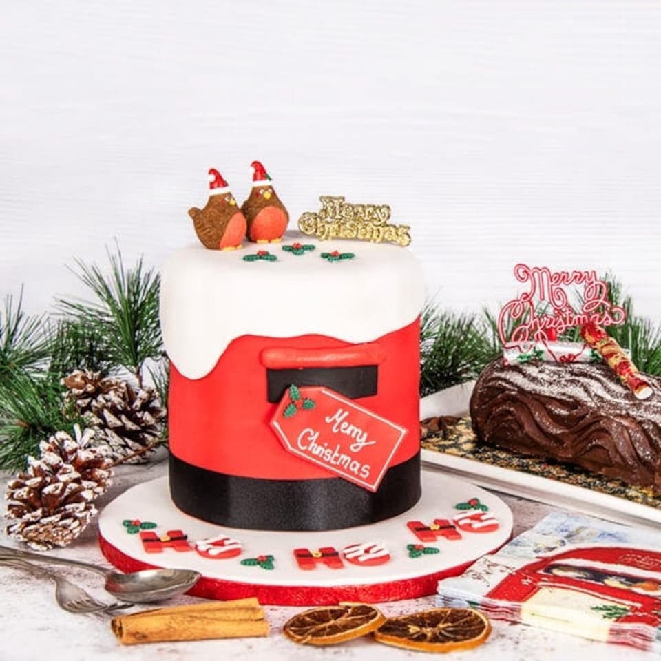 image 1 of Anniversary House Plump Christmas Robin Resin Cake Topper & Merry Christmas