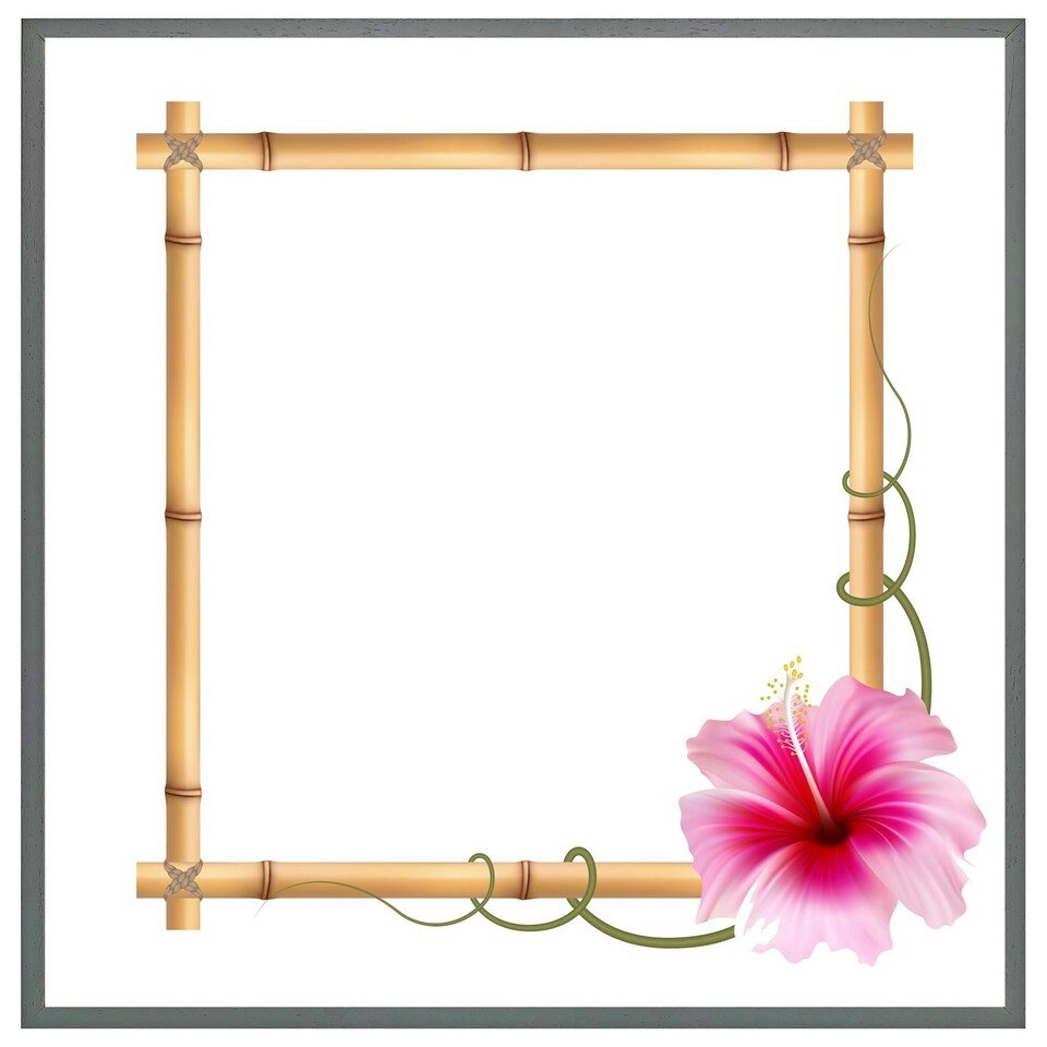 image 1 of Bamboo border (Picture Frame) White | L