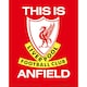 image 1 of Liverpool FC Anfield Stadium 3D Print - Red/White - One Size