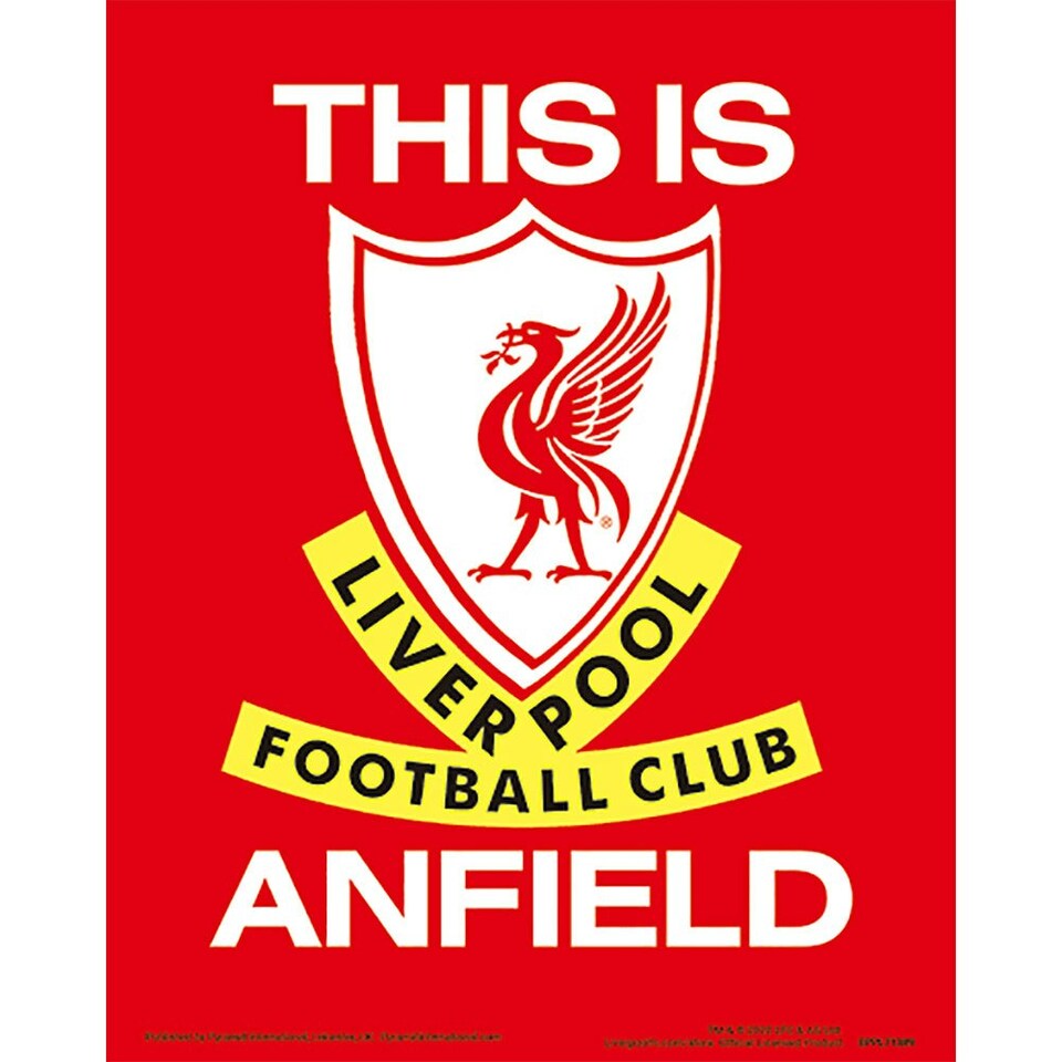 image 1 of Liverpool FC Anfield Stadium 3D Print - Red/White - One Size