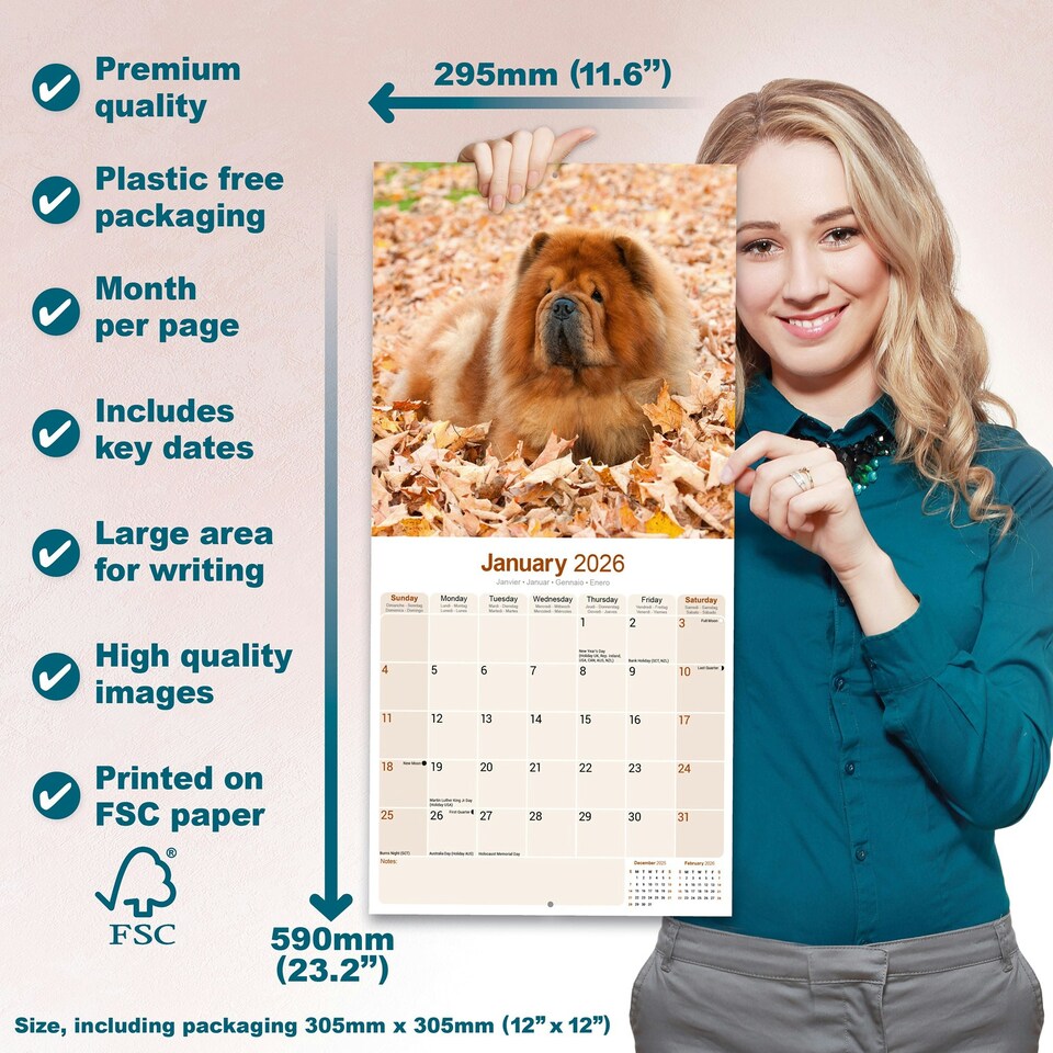 image 1 of Chow Chow 2026 Calendar | Square Wall Calendar | Dog Breed Gift | Plastic Free Packaging | by Avonside Publishing