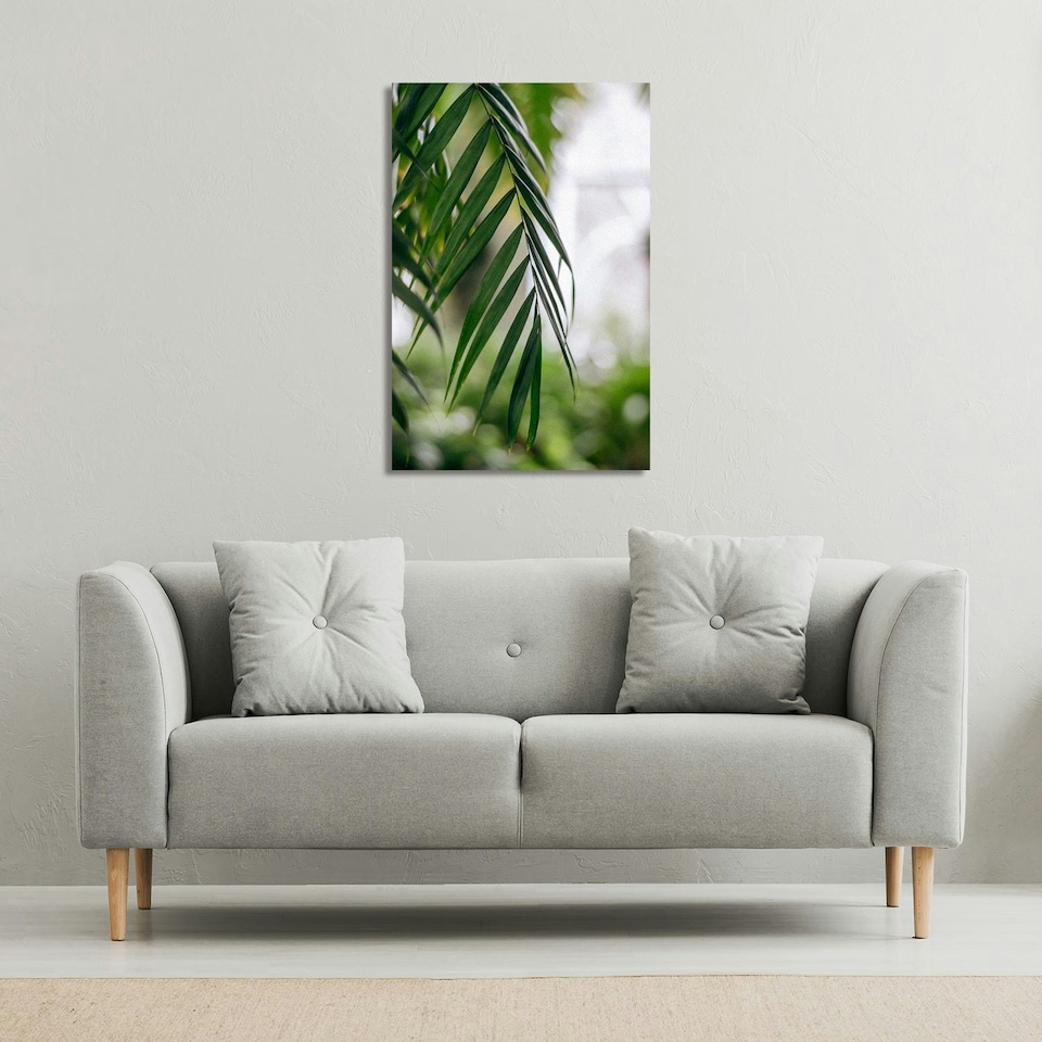 image 1 of Closeup of green palm leaf (Canvas Print) 46 x 31 x 4cm