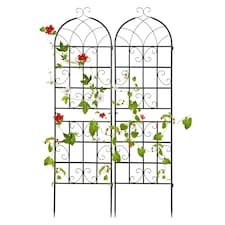 COSTWAY 2 Pack Garden Plant Trellis Stakes for Climbing Plants