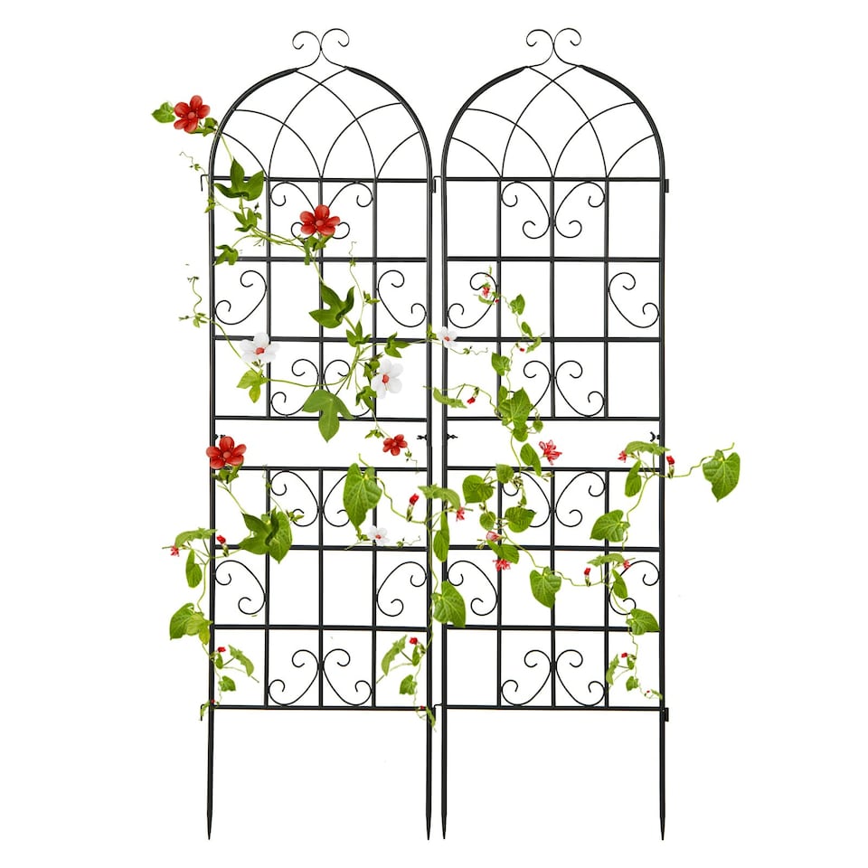 image 1 of COSTWAY 2 Pack Garden Plant Trellis Stakes for Climbing Plants