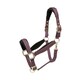 image 2 of ARMA Padded Headcollar Black | Colour: Black Cherry
Size: Cob