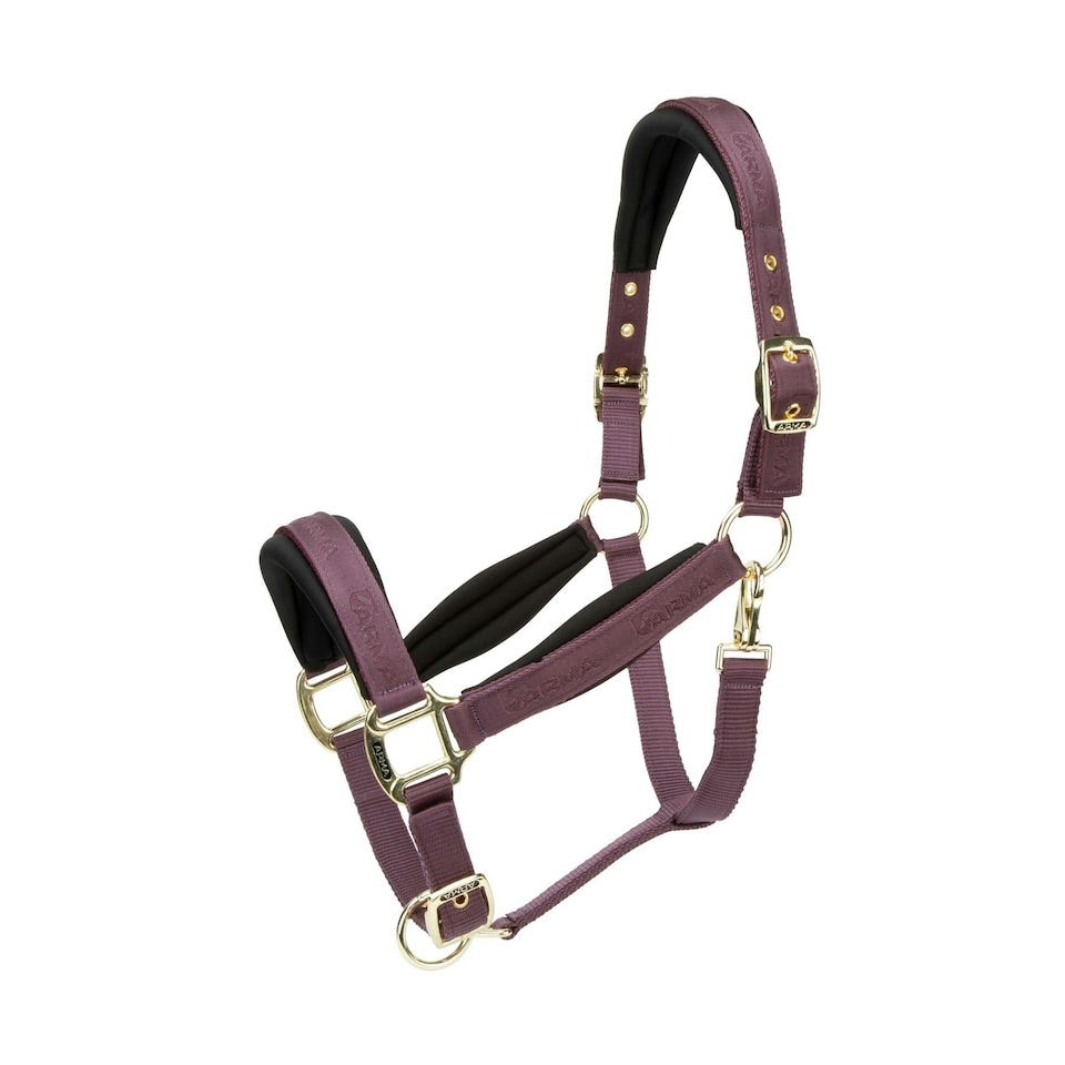 image 1 of ARMA Padded Headcollar Black | Colour: Black Cherry
Size: Cob