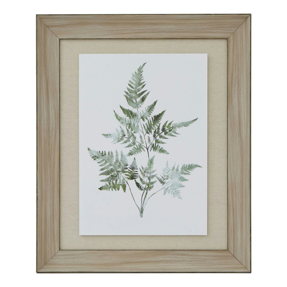 Hill Interiors Bracken Fern Framed Art Print - Brown/White/Green - One Size