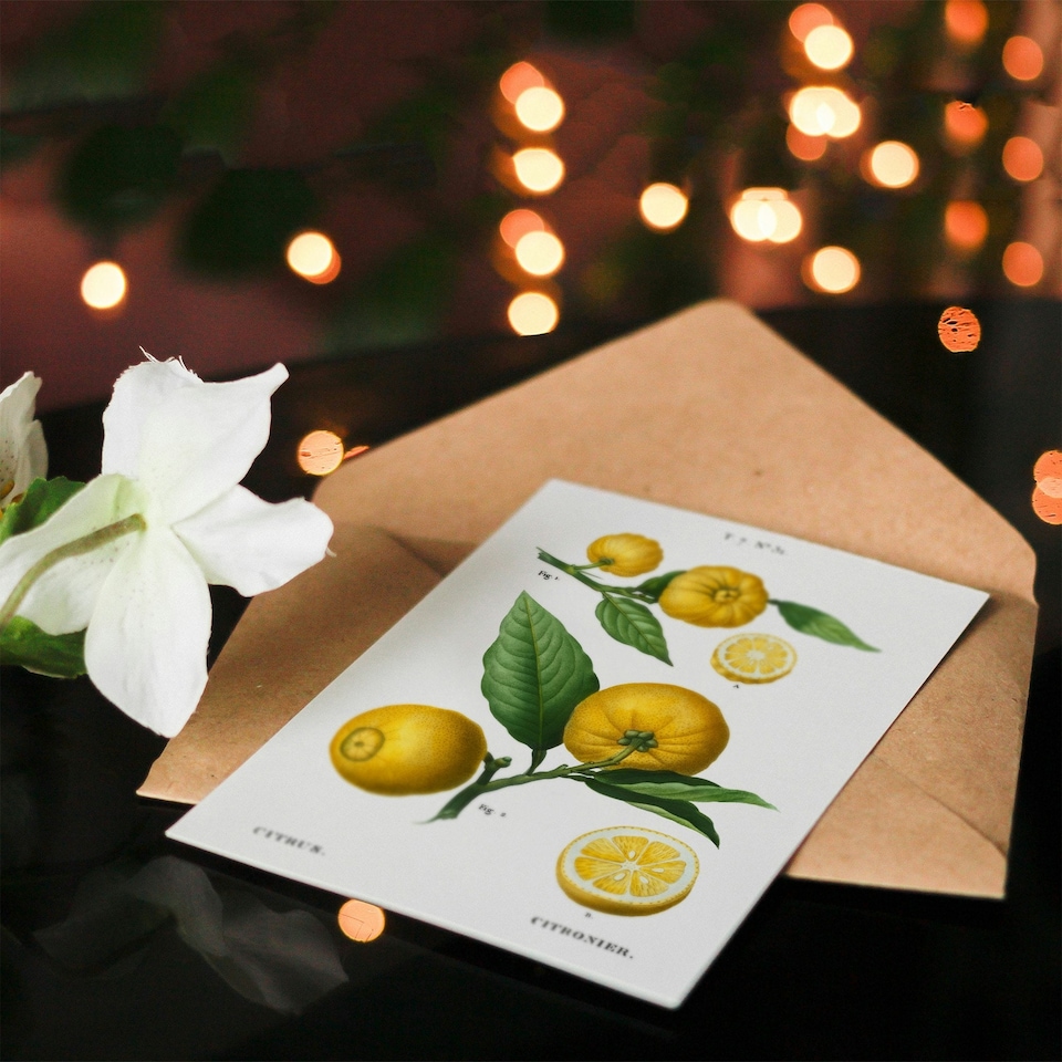 image 1 of Pierre-Joseph Redouté Art Card Clusters of Citrus Fruit