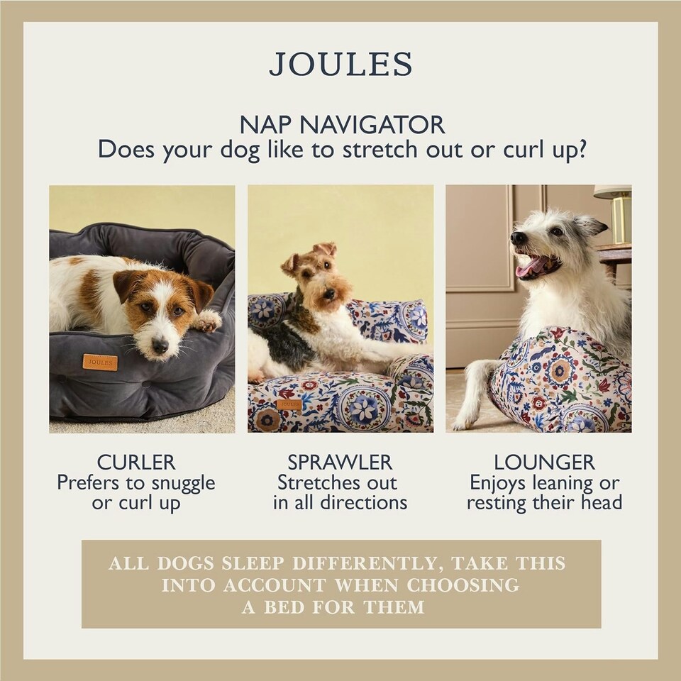 image 1 of Rosewood Joules Hensen Check Box Dog Bed | Multi | S | 1