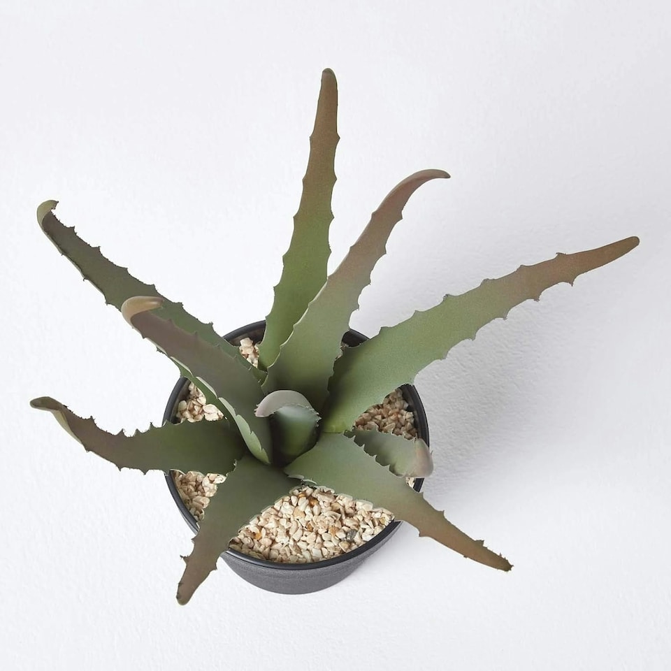 image 1 of Homescapes Aloe Vera Artificial Succulent in Black Pot, 30 cm Tall