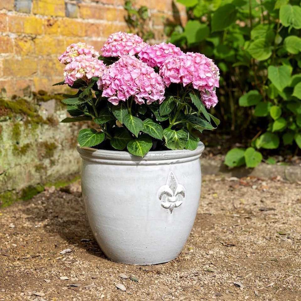 image 1 of Primrose Small Stoneware Debossed Logo Round Planter In Cream 24cm