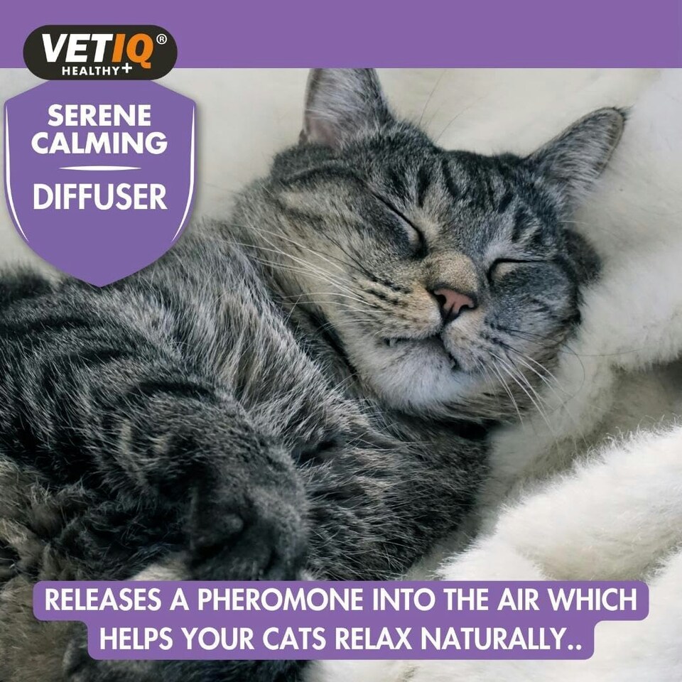 image 1 of VETIQ Serene Calming Diffuser Refill 6ML
