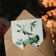 image 3 of John James Audubon Art Card Warbling Flycatcher and Magnolia Flowers