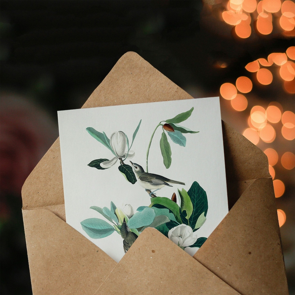 image 1 of John James Audubon Art Card Warbling Flycatcher and Magnolia Flowers