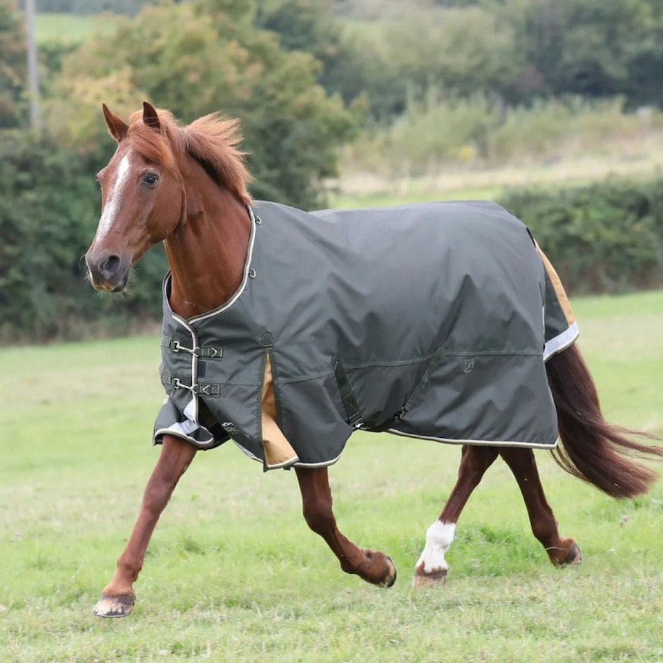 image 1 of Highlander Plus Standard-Neck 50g Horse Turnout Rug - Green - 7´ 3"