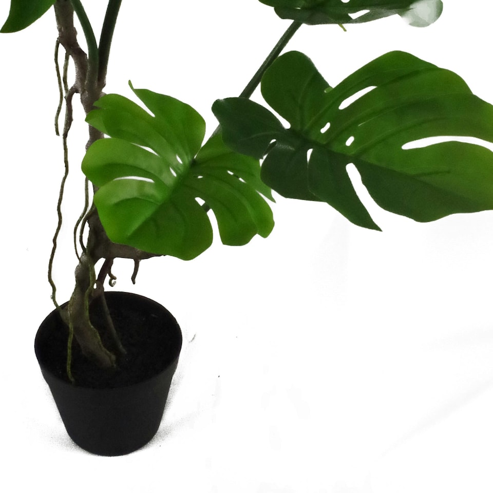 image 1 of Artificial Monstera Plant Twisted Cheese Plant 70cm Leaf Design UK Realistic Botanik