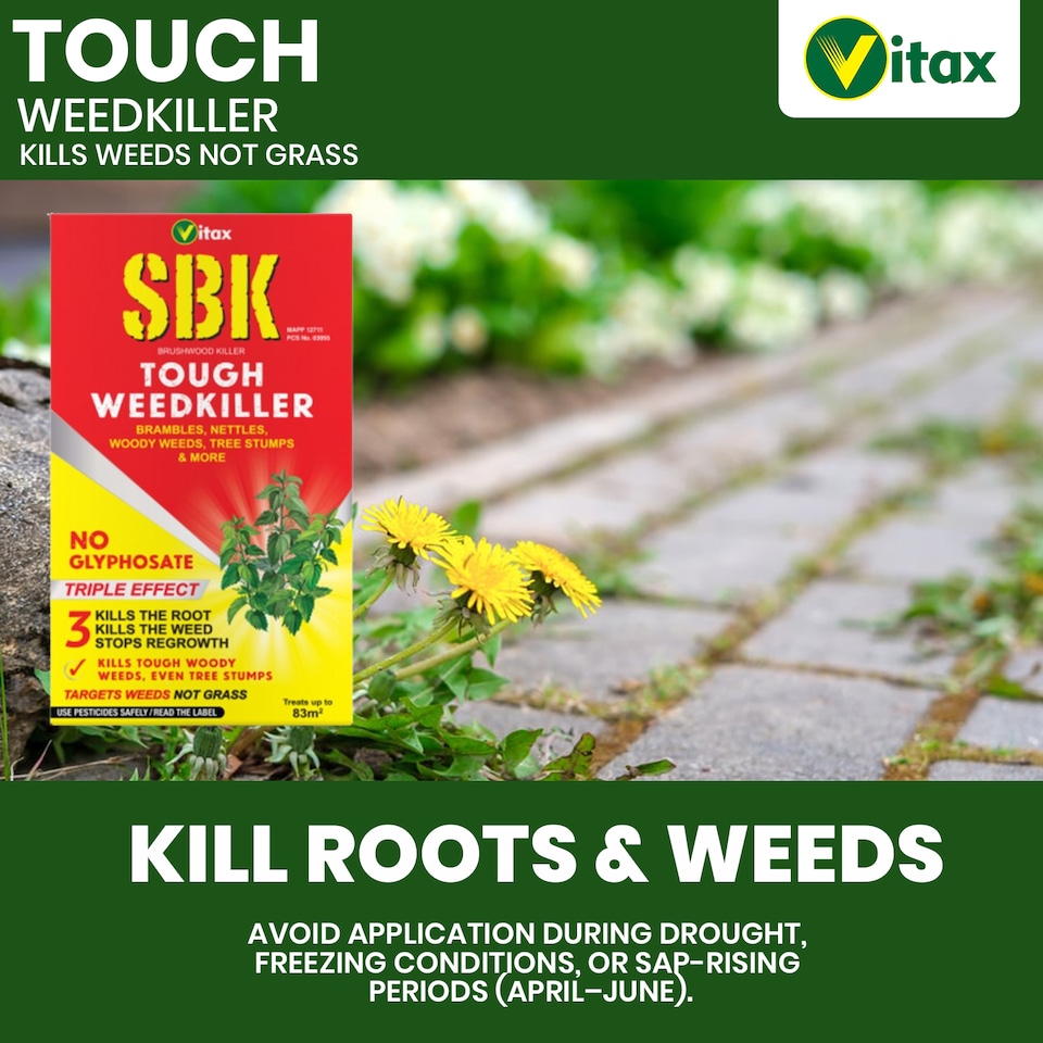 image 1 of Vitax SBK Brushwood Killer 250ml Tough Weedkiller for Brambles Nettles Tree Stumps & Woody Weeds Fast-Acting