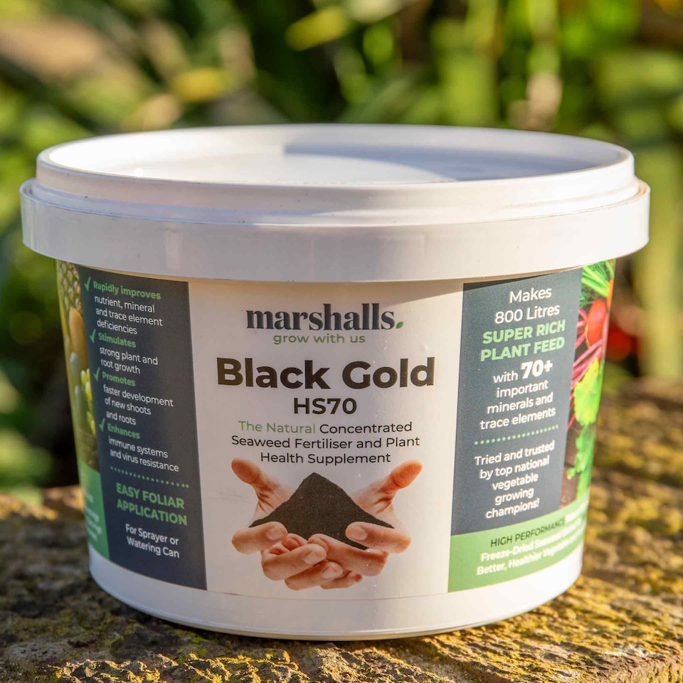 image 1 of Marshalls Garden Bio-Gro Black Gold seaweed foliar feed 400g | Brown | Tub | 1