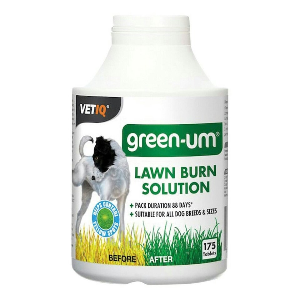 Tablets Mark & Chappell Green Um 175 Unidades N/A | N/A | One Size