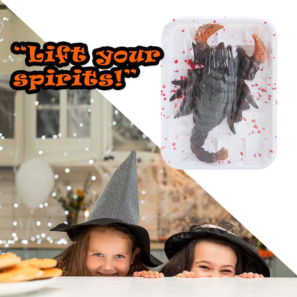 image 1 of PMS Halloween Scorpion Insect Decoration - 18.5 x 13.5 cm